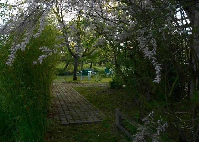 Rose Canine B&B Cesenatico